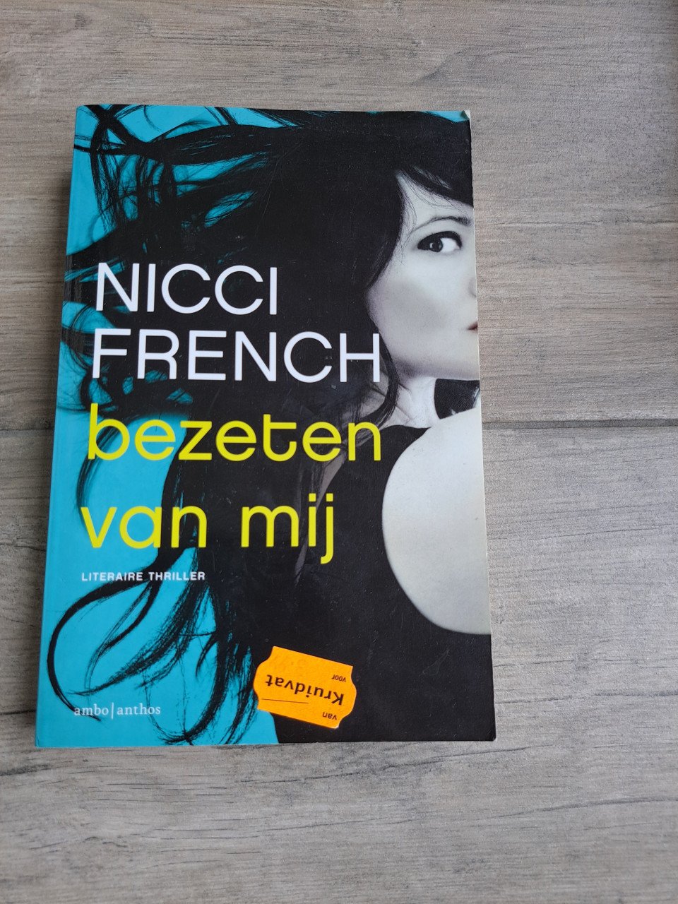 Thriller Bezeten van mij van Nicci French