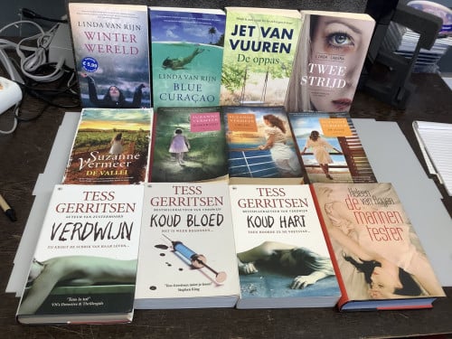 Stapel van 12 van bekende Nederlandse schrijfsters. Waarvan 11 thrillers.