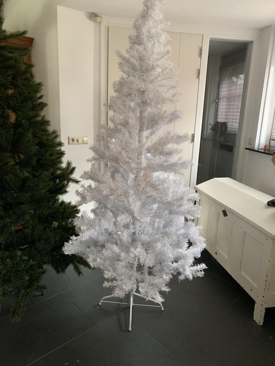 Kerstboom 1.85 m hoig