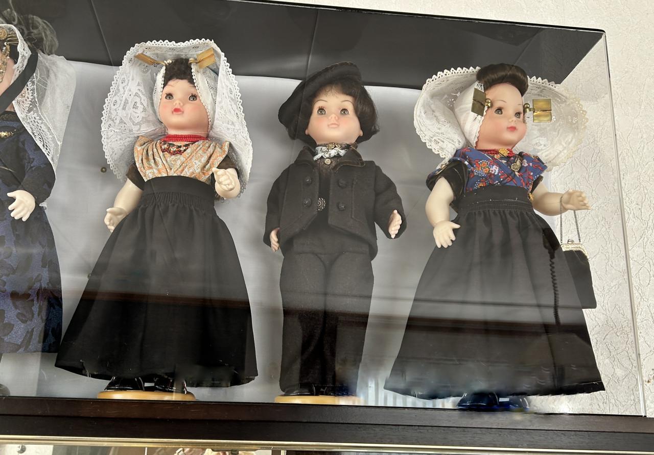 COLLECTIE BOERENPOPPEN