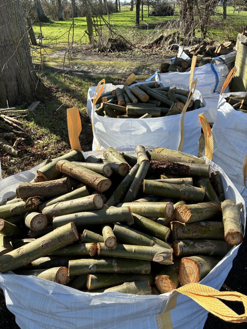 Haardhout-Kachelhout- 50 euro de Kuub