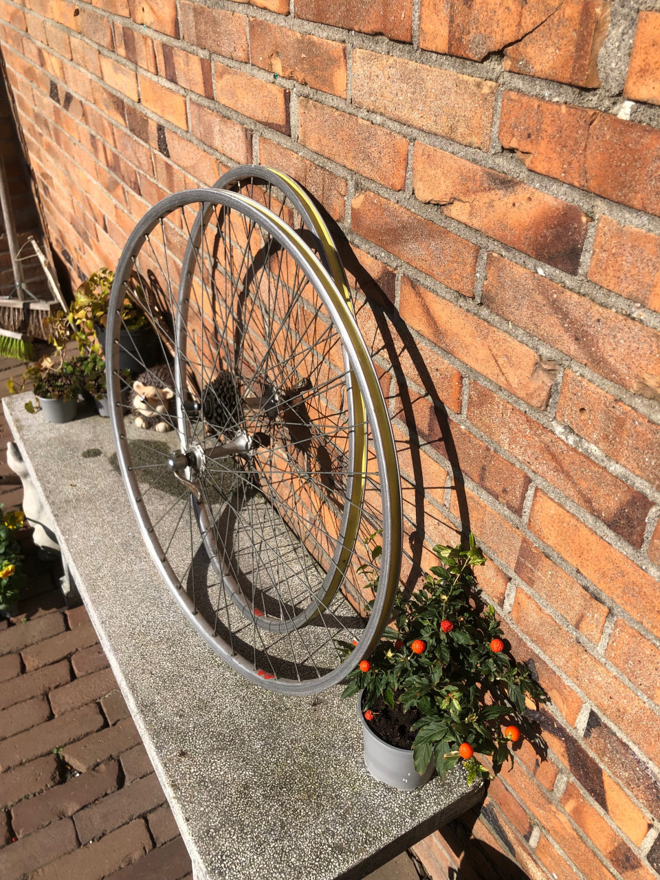 Vintage racefiets wielen.