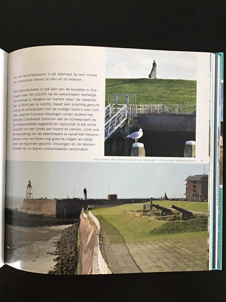 Westerschelde portret van een open zeearm