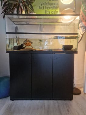 Schildpadden aquarium + meubel (zonder schildpad)