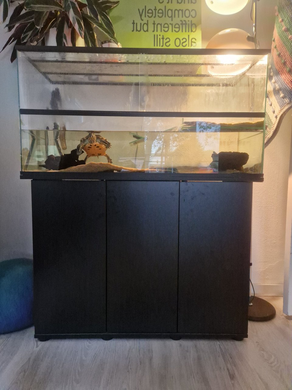 Schildpadden aquarium + meubel (zonder schildpad)