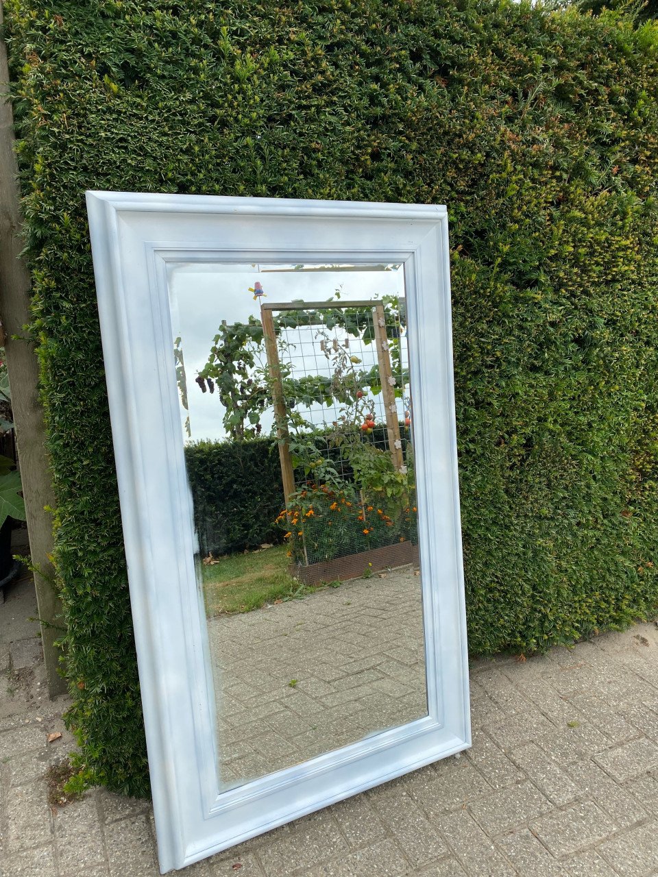Spiegel 155 x 90 cm