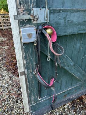 Halsters en stijgbeugels