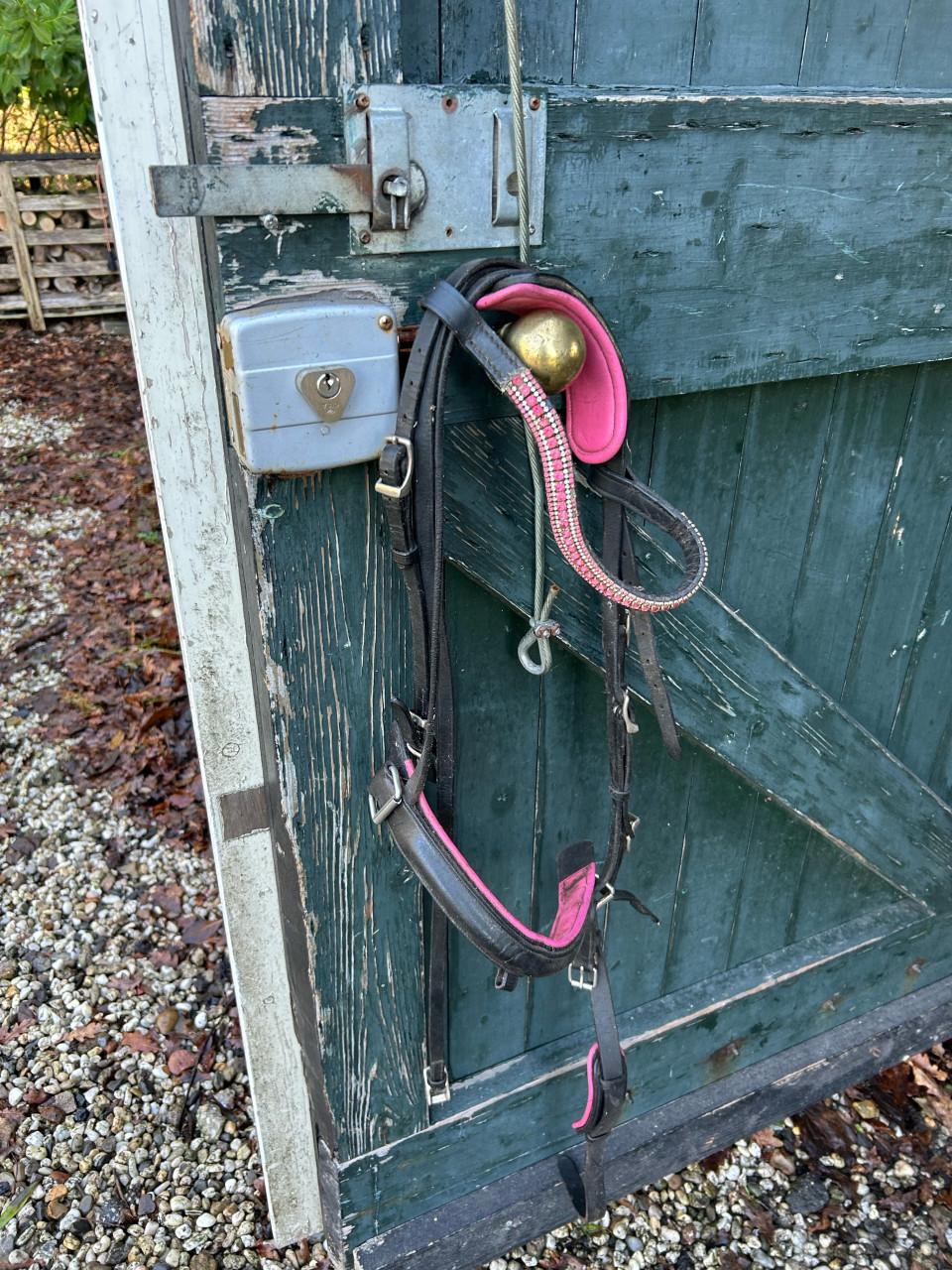 Halsters en stijgbeugels