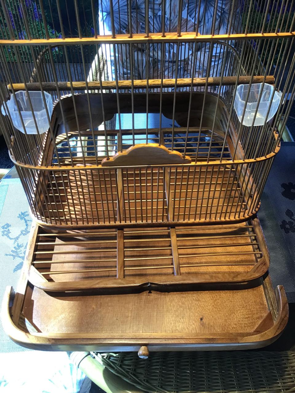 Zangkooi voor b v shamalijster