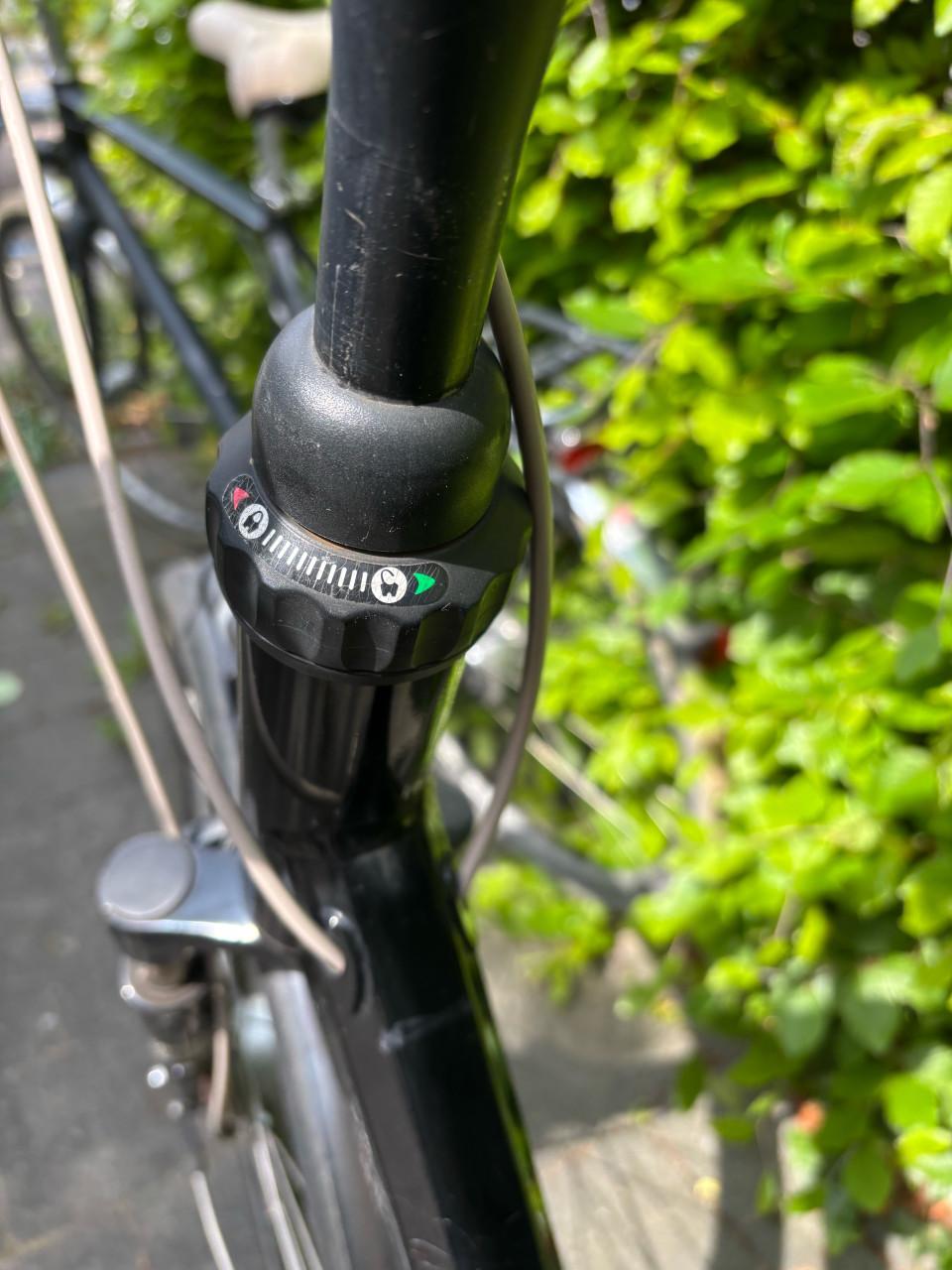 Amazone 4 life moederfiets