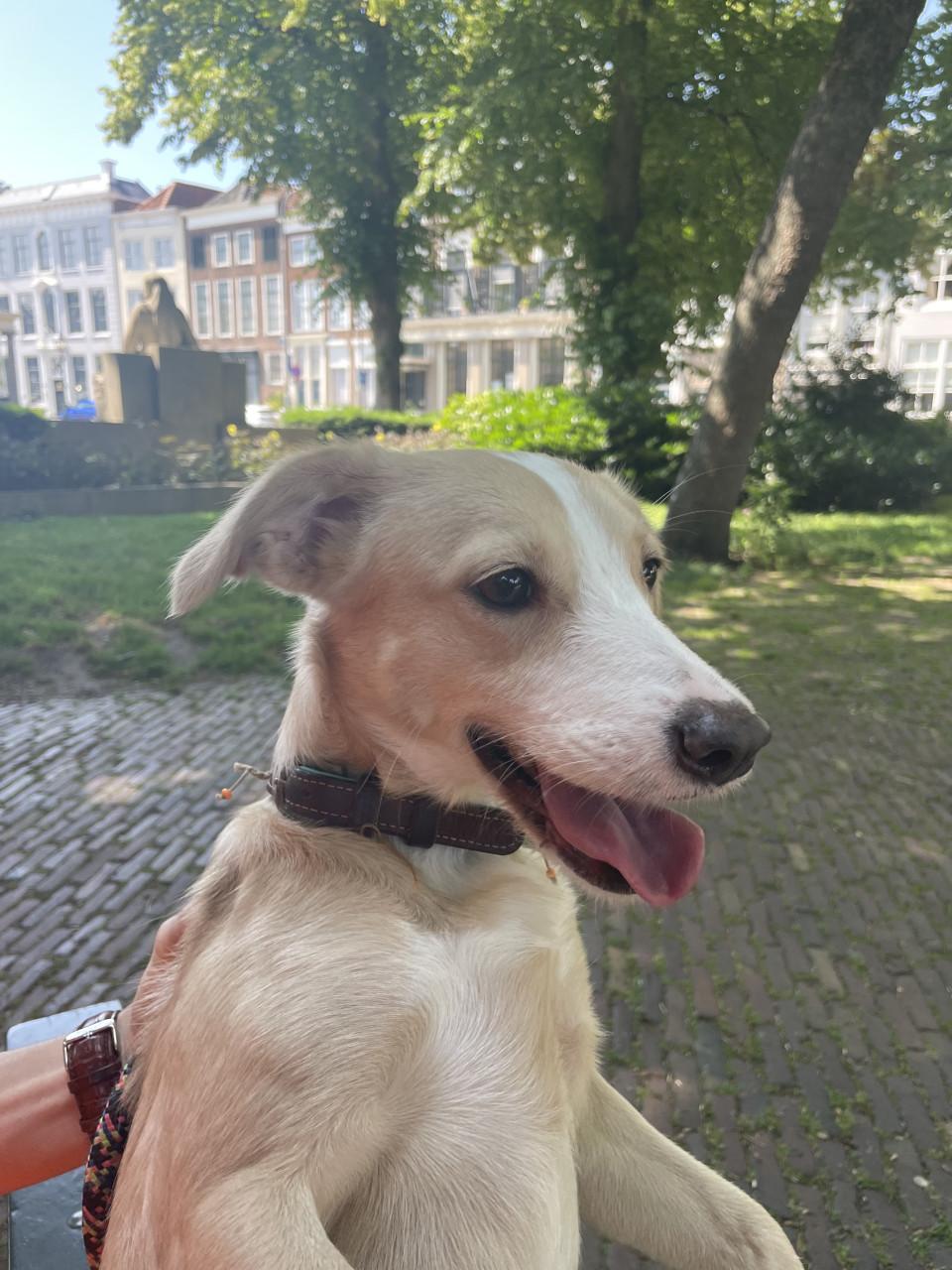 Terra zoekt een passend thuis