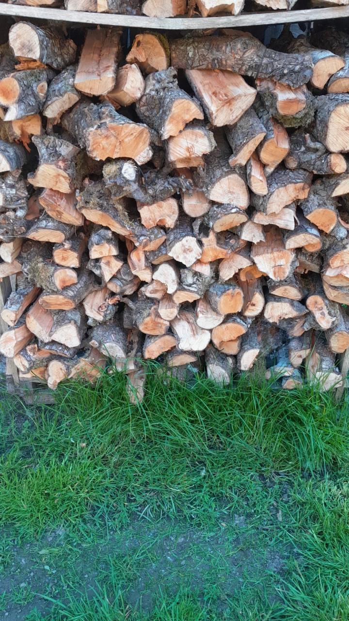 Perenhout - langere stukken.