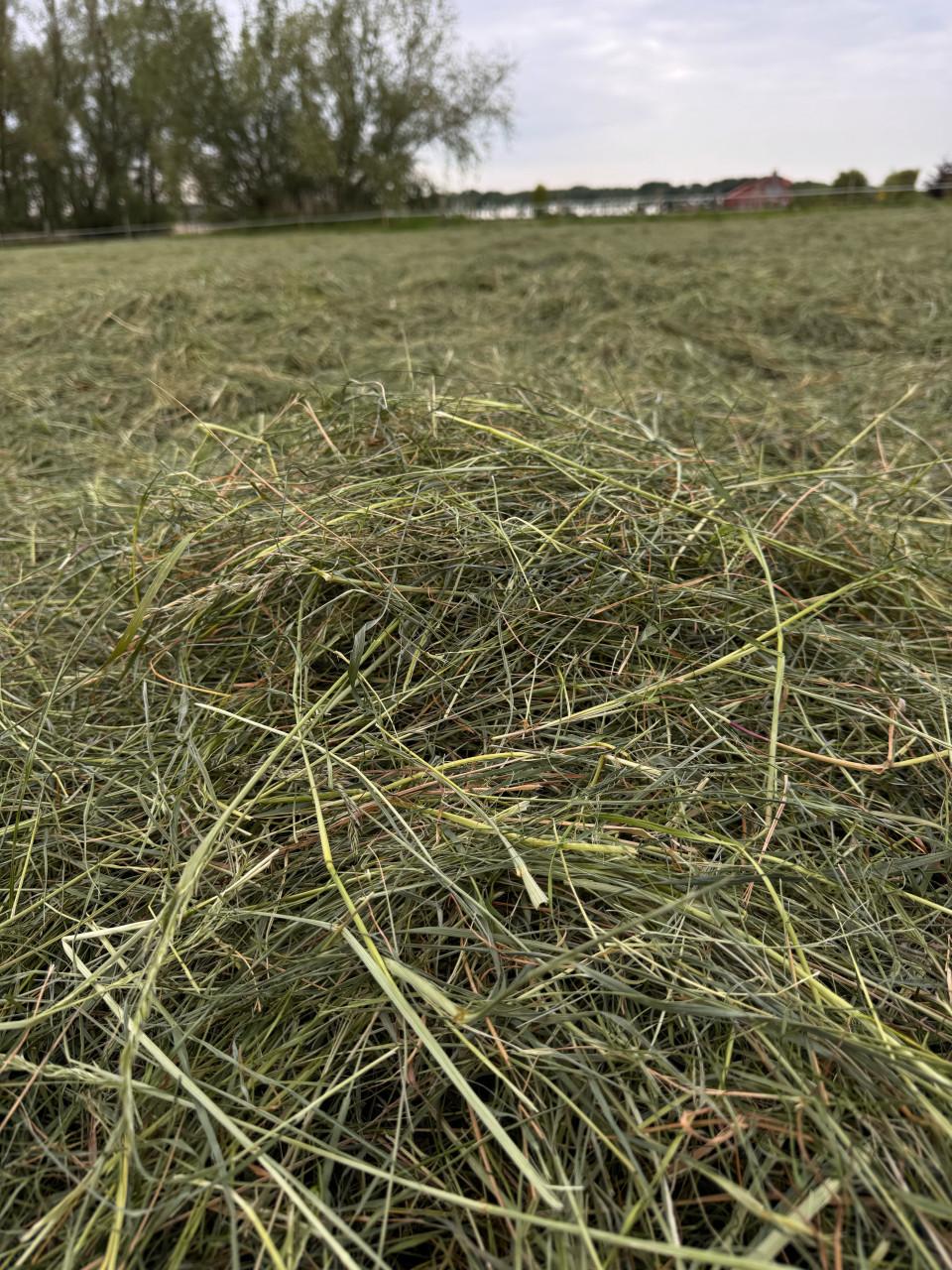 Gewikkelde hooibalen groot