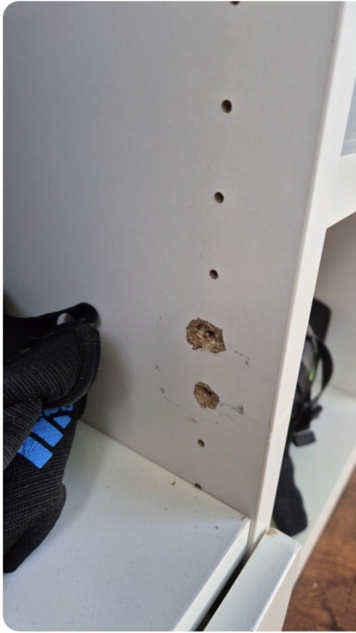Hoogslaper Ikea