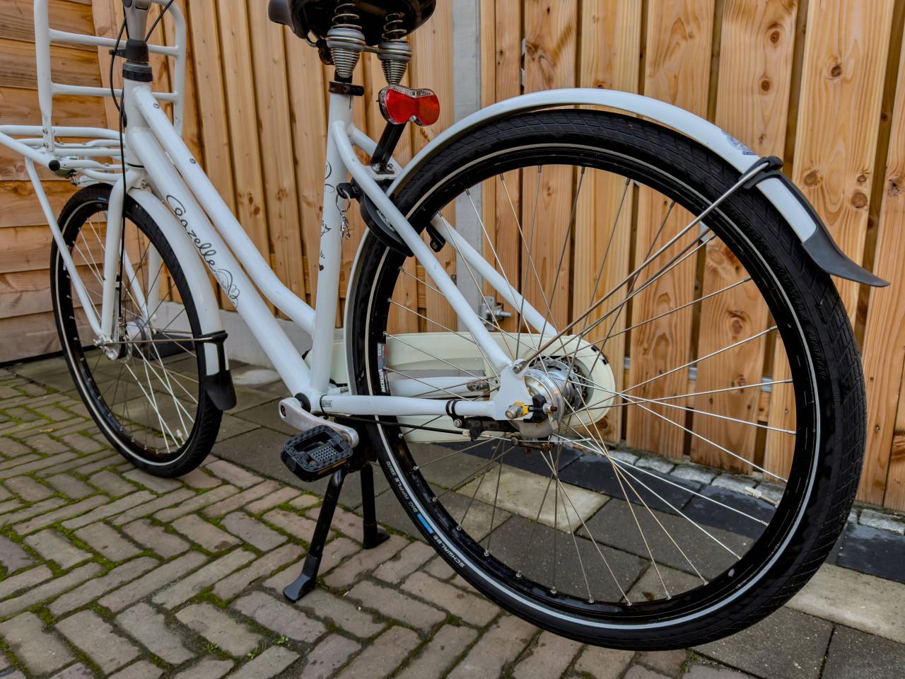 Gazelle Miss Grace damesfiets (54)