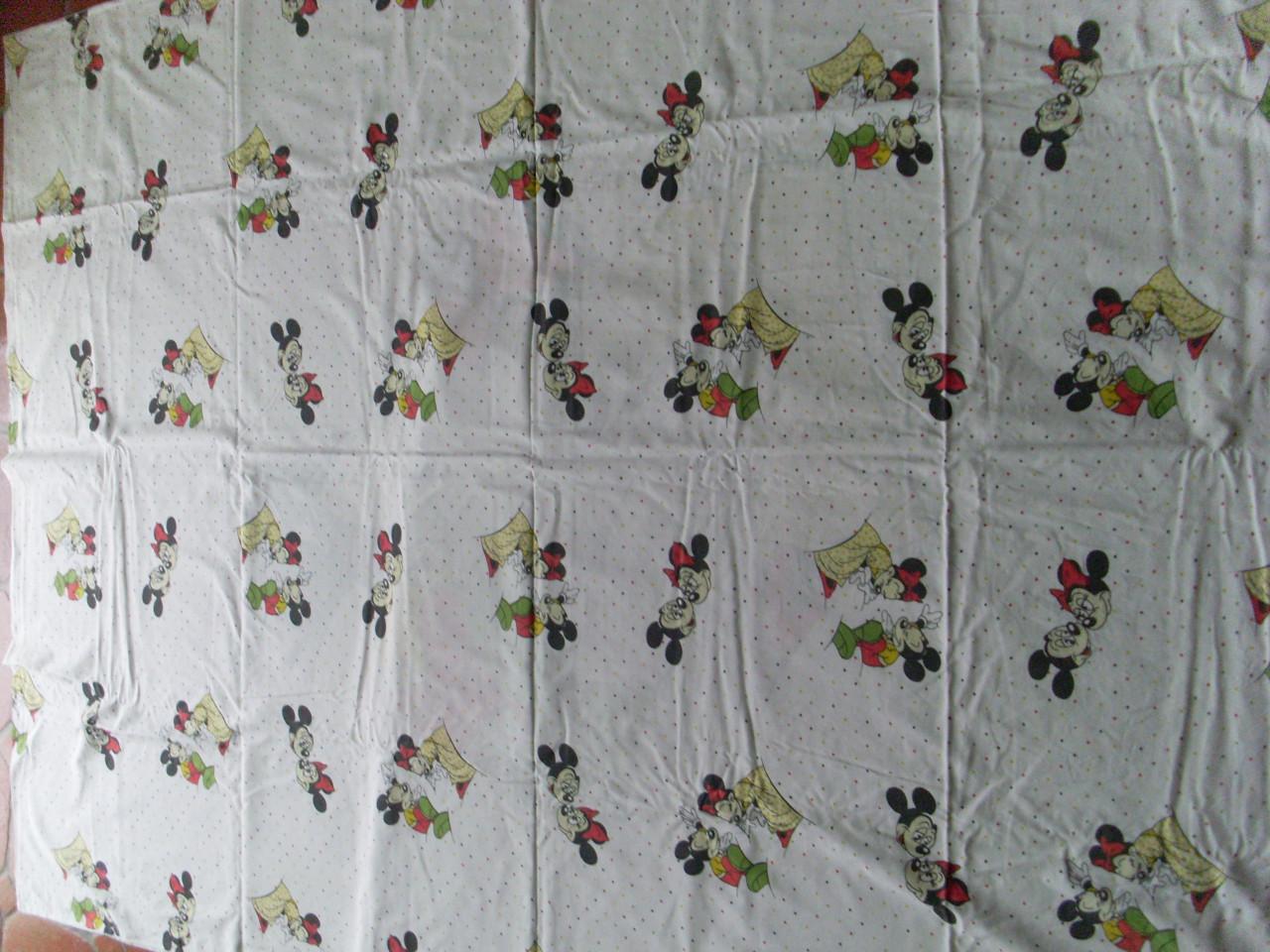 Mickeymouse bedset (kussen en overtrek)