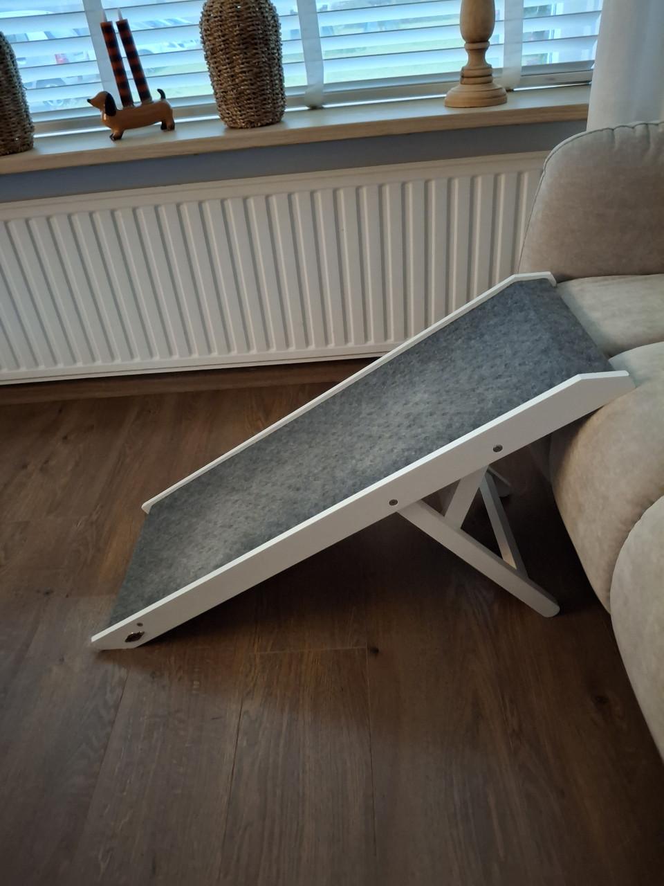 Loopplank Hond