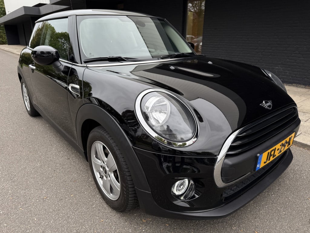 Mini One mini 1.5 first