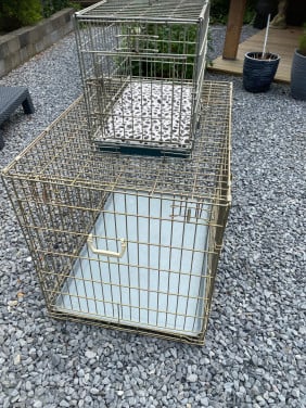 Hondenbenches te koop