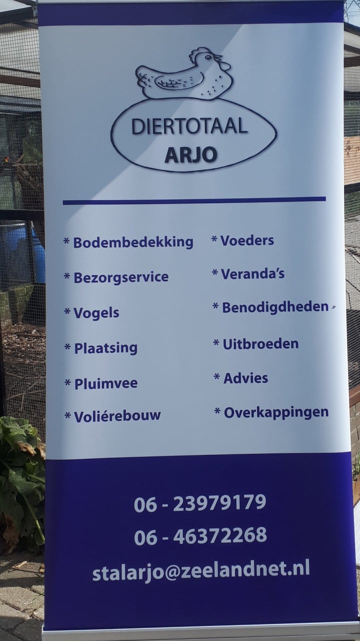 Eieren uit laten broeden?