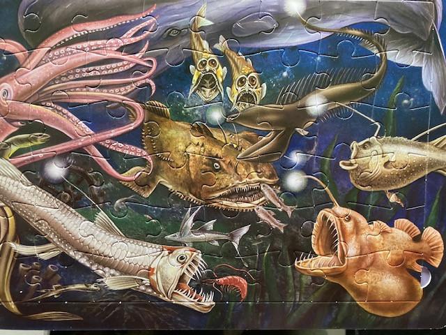 Legpuzzels met 48/96/112/500 en 1000 stukjes.