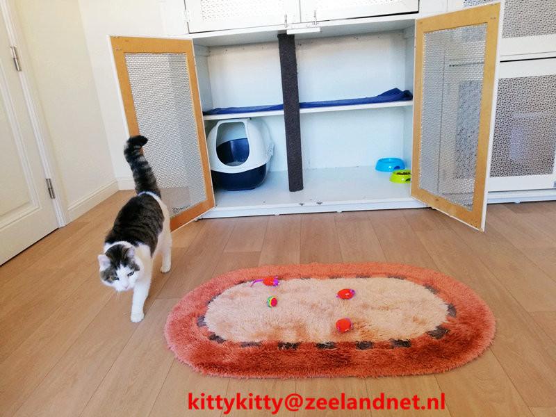Kattenhotel Kitty Kitty, in Axel
