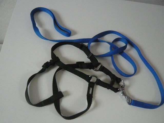 Z.G.A.N. HONDENTUIGJE MET  LOOPLIJN MT XS