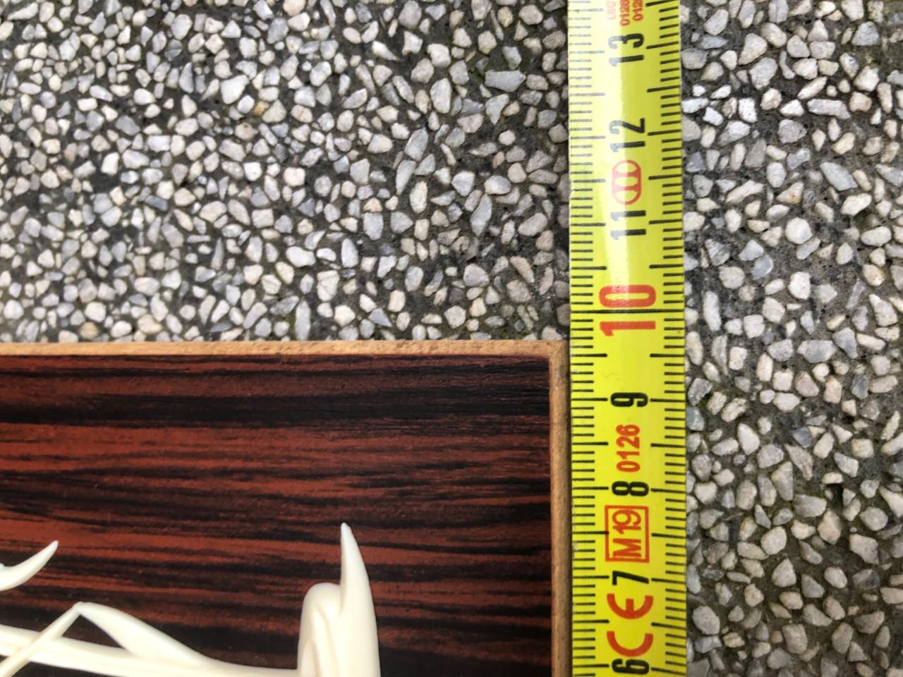 Vintage wanddecoratie met vissen