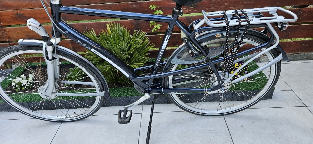 Batavus herenfiets Limited Edition