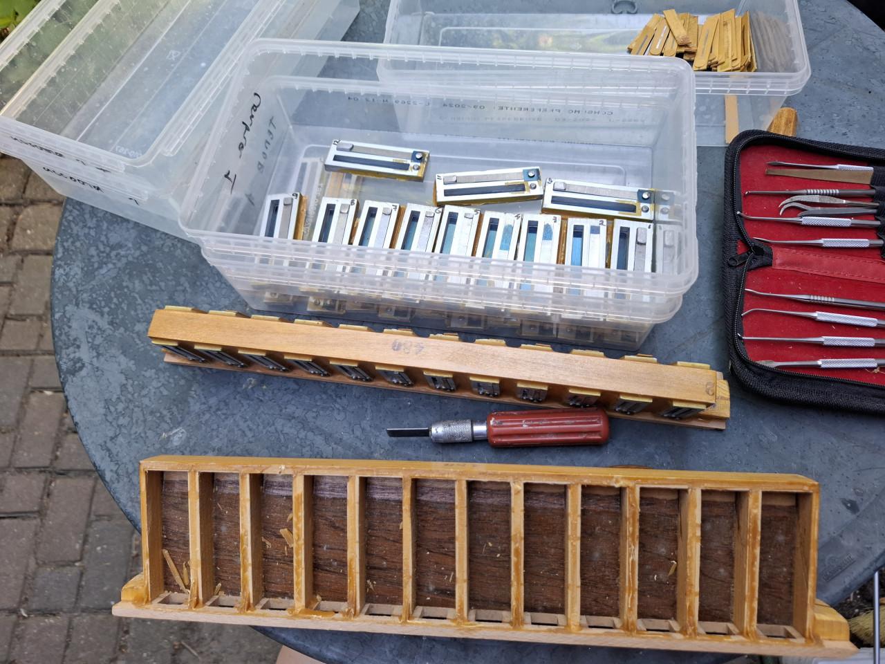 Accordeon Ballone Burini Waaier klavier