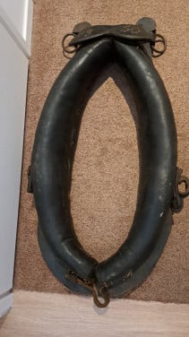 Paardenjuk