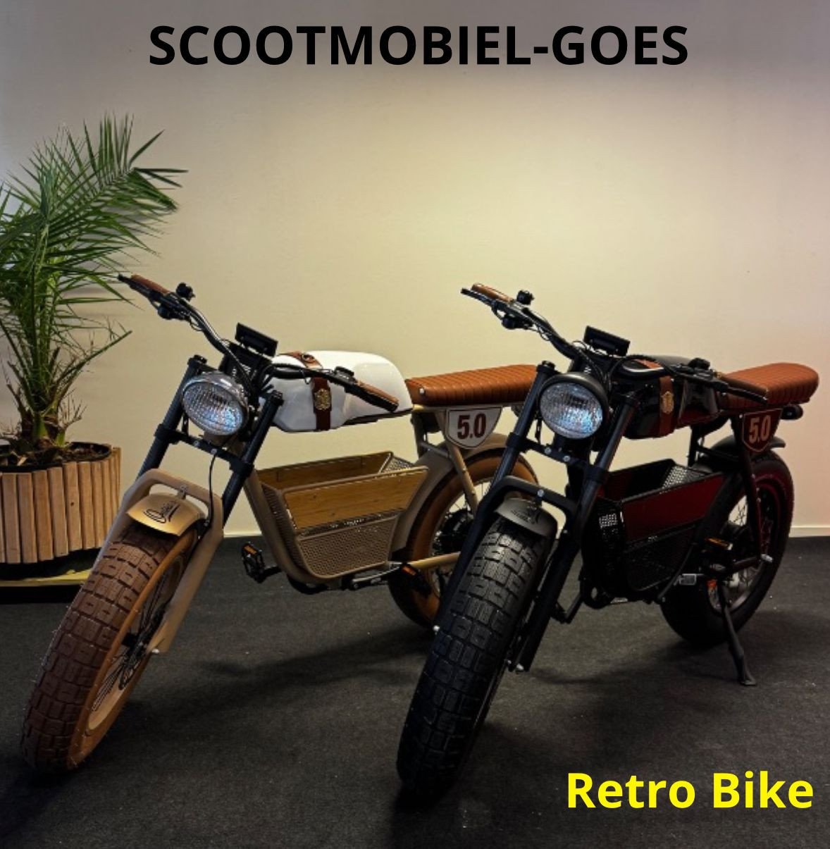 TE HUUR   Ga een dagje rijden op de E-Chopper, de E-Bike of Retro Bike