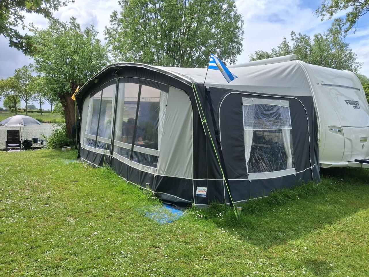Zeer mooie dorema octiva voortent