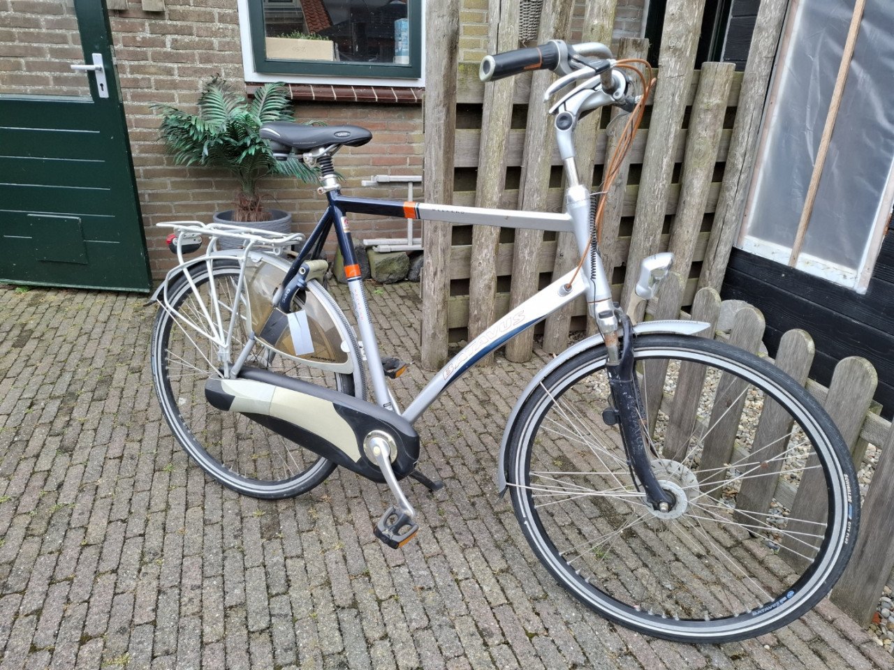 Batavus