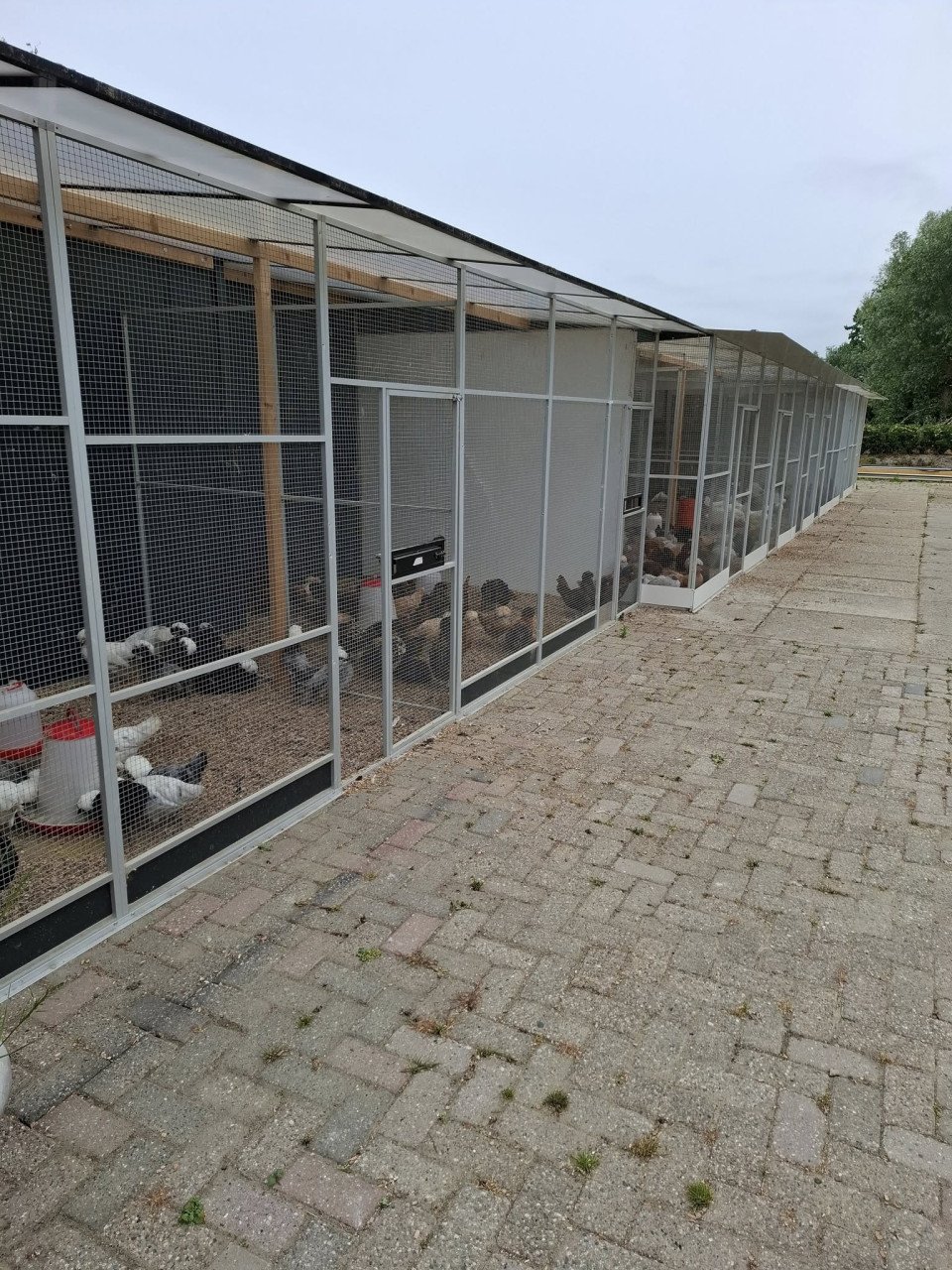 Allerlei vogels