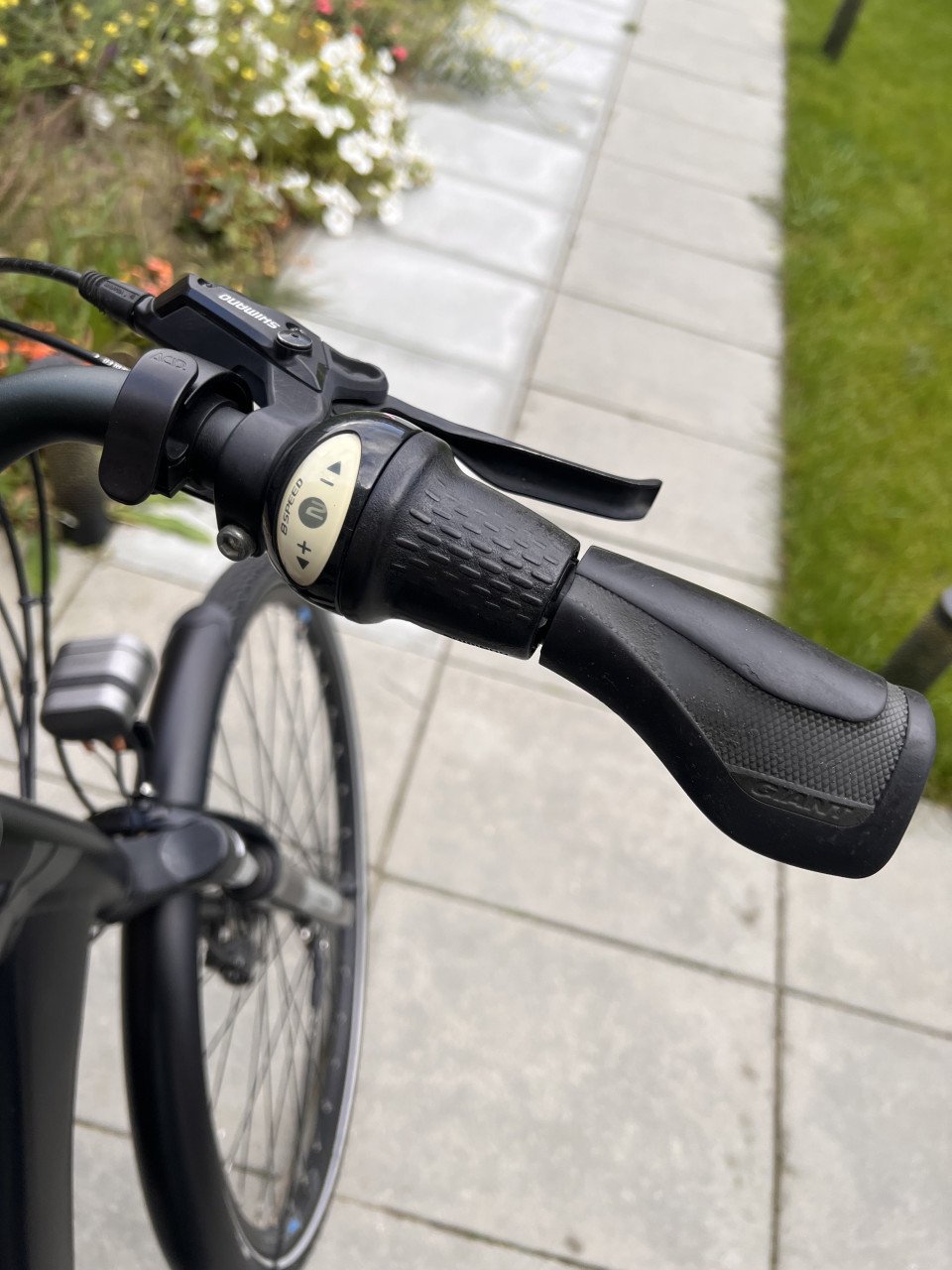 Mooie Giant Entour E+ Elektrische Herenfiets