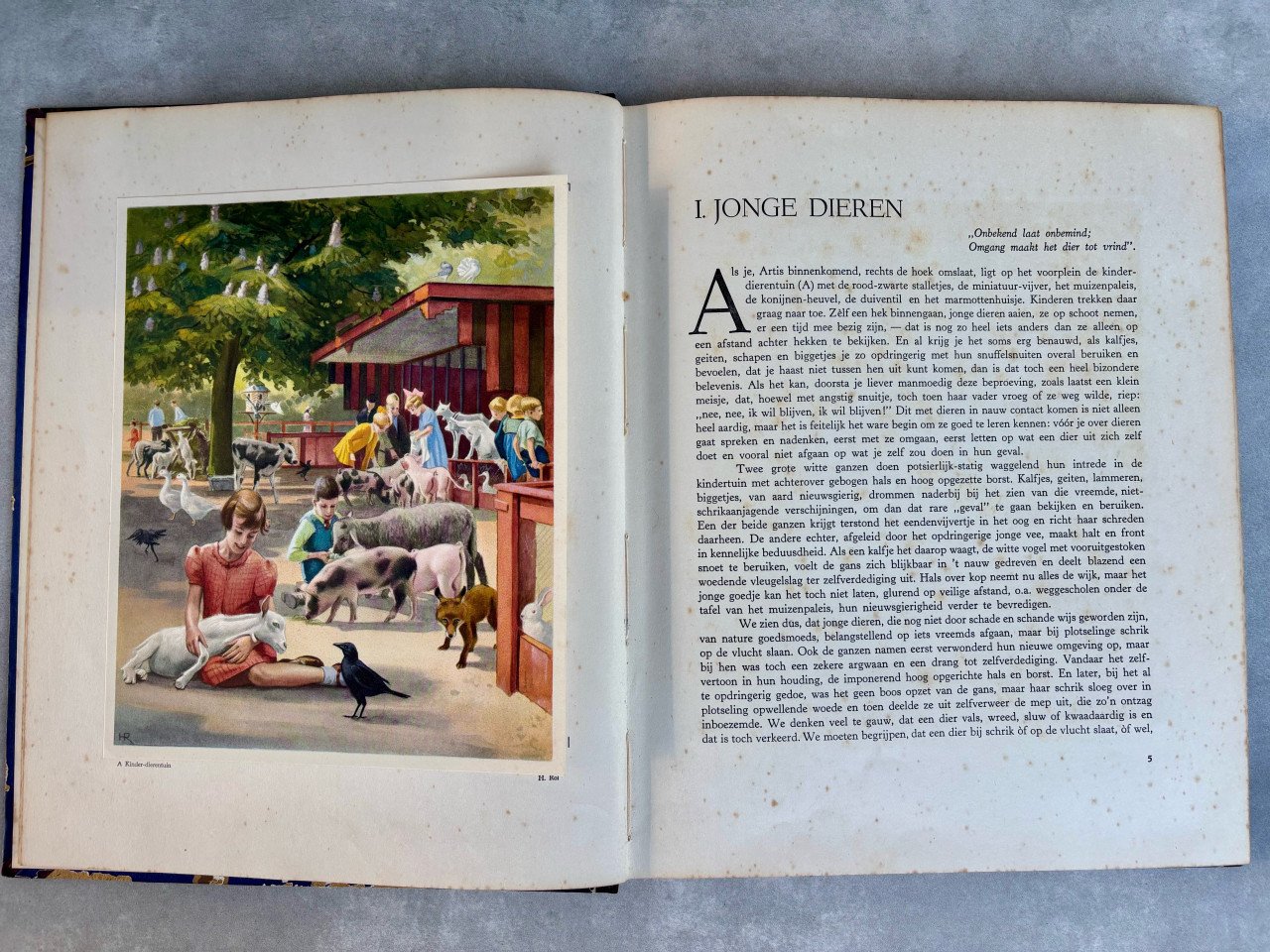 Diverse Verkade plaatjesboeken en meer. Zie foto’s