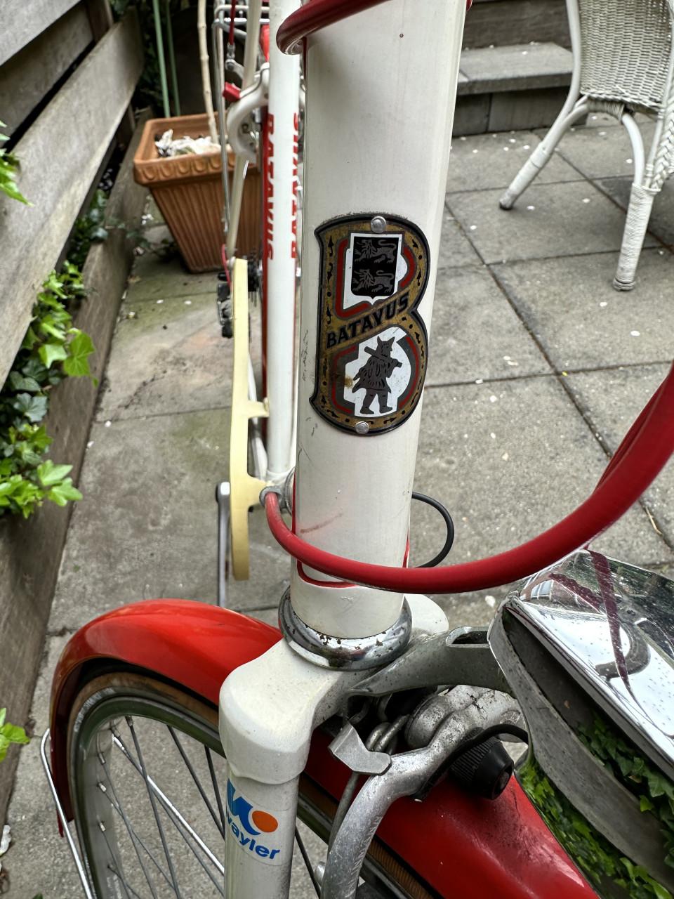 Batavus - Wayler