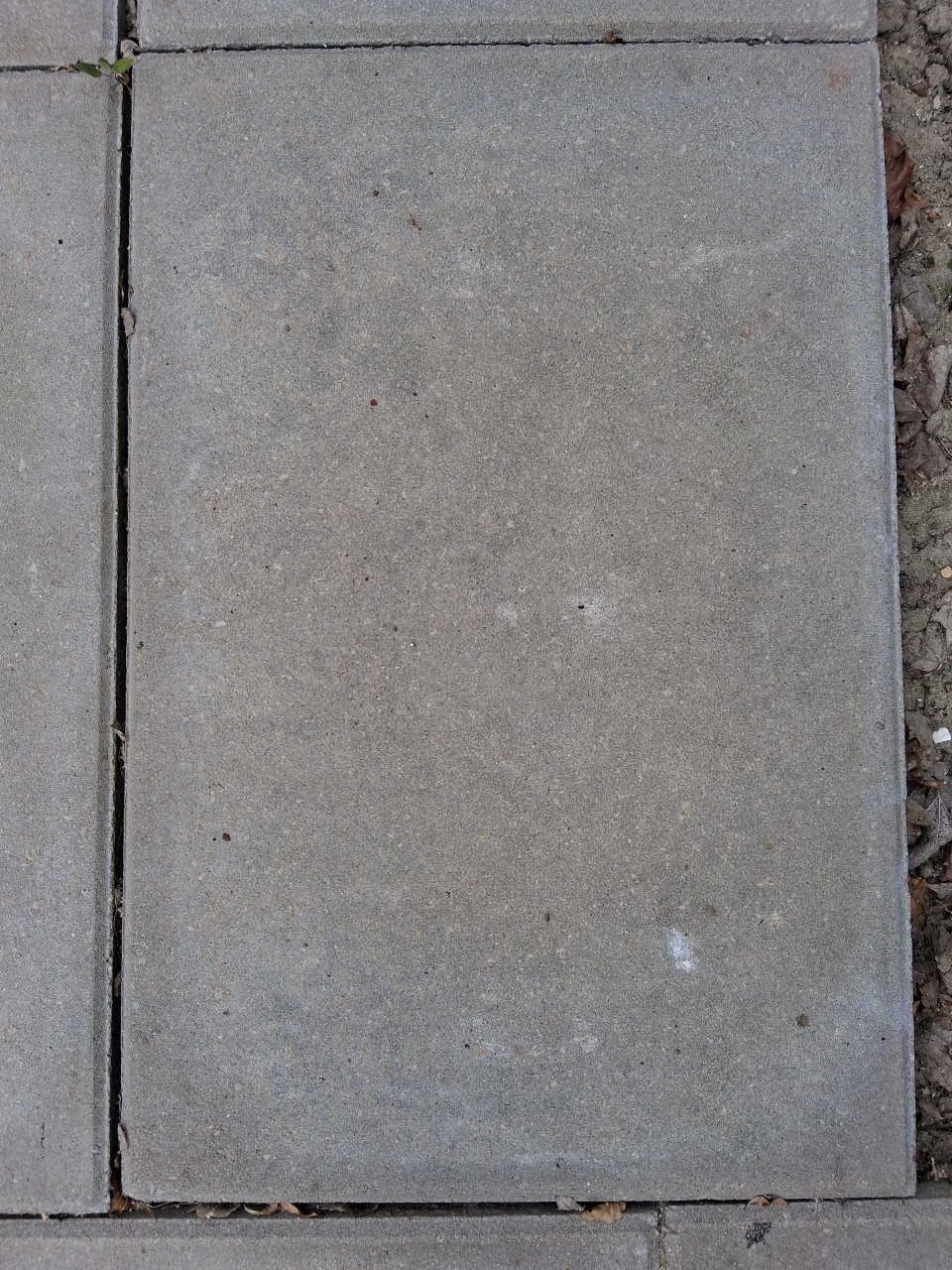 Grijze betontegels 60 x 40 x 5 cm