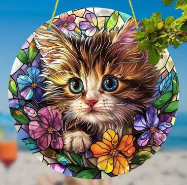 Raamhanger kitten