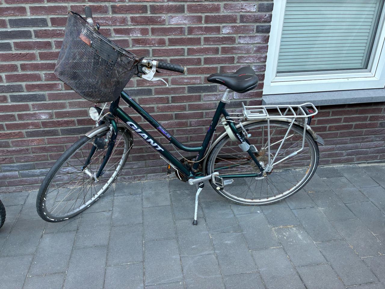 Opknappers! dames, heren, mountain, vouw
