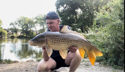 Grotekarpers vangen in de polder bij Karpervisserij Koudekerke € 17,50