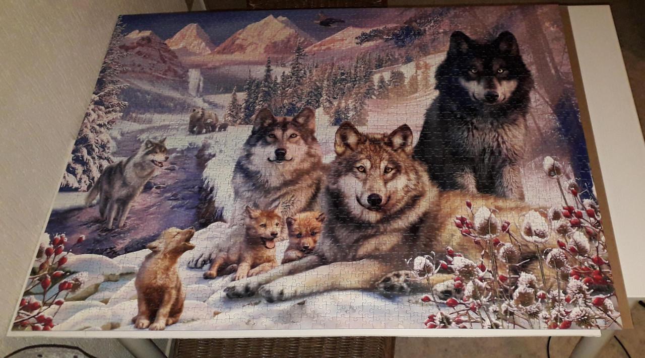 Puzzel 2000 stukjes wolven