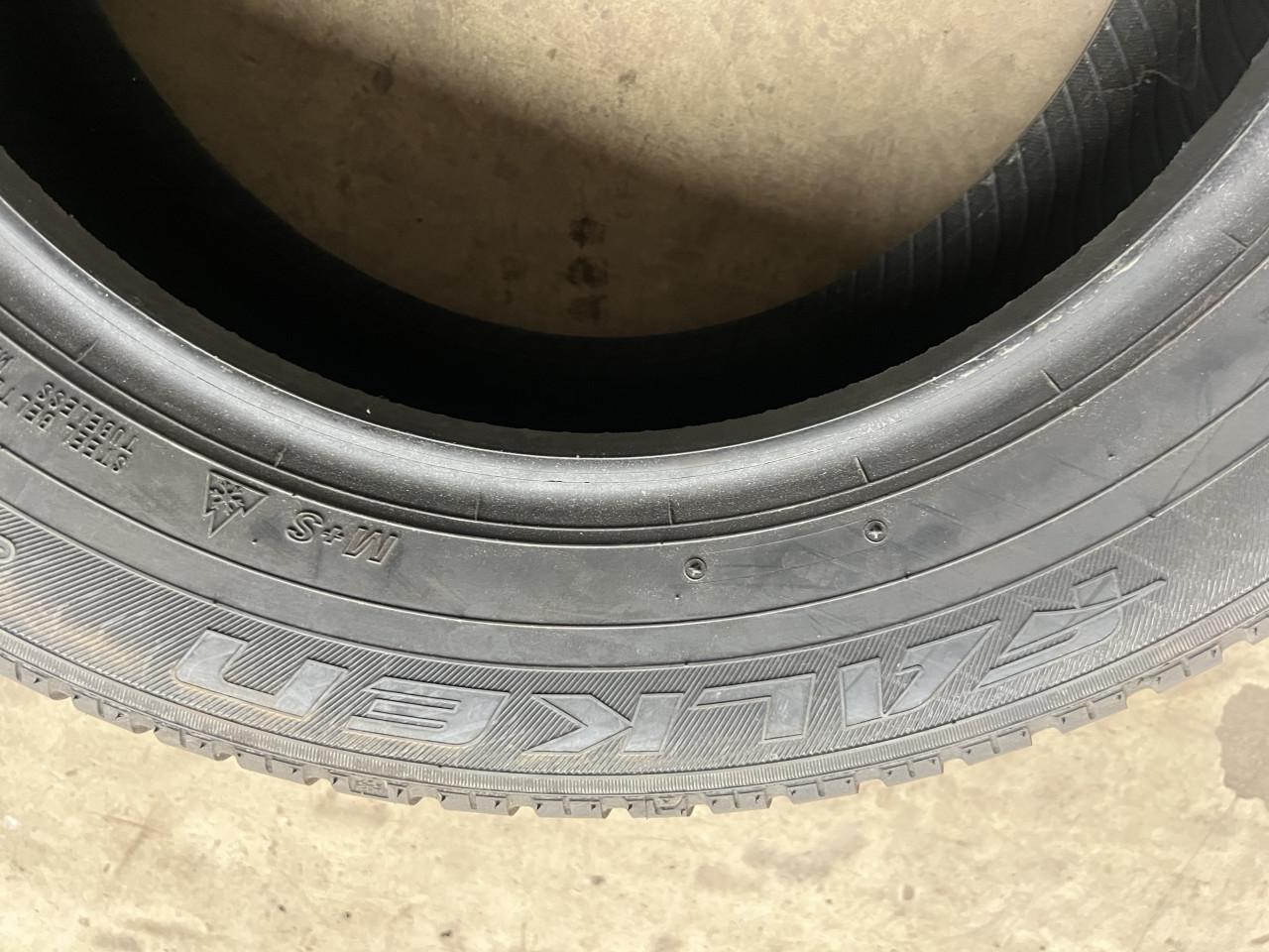 Winterbanden 195 65 15  falken