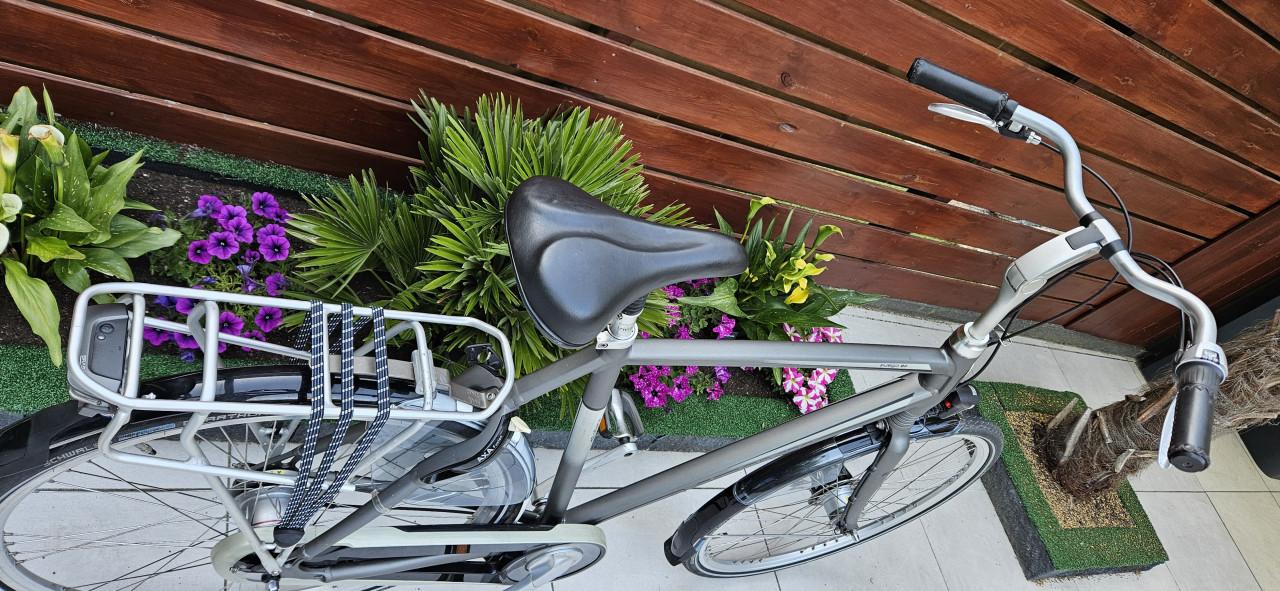 Batavus Fueco 8P  Exclusieve herenfiets
