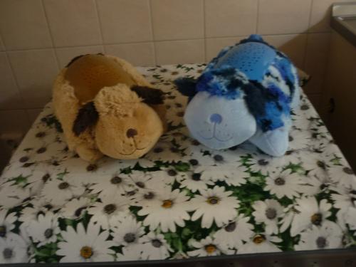 TWEE SNOEZEL HONDEN