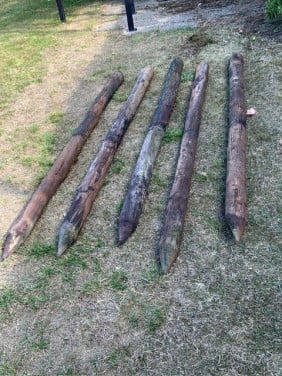 Te koop; palen weide hoekpalen dam damhek 5  palen 12cm doorsnee lengte 255