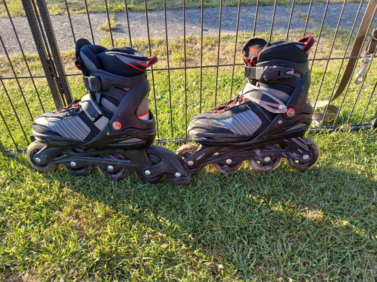 Skeelers