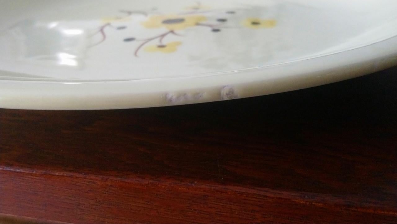 Set van 2 vintage Franse schalen Salins servies Catherine