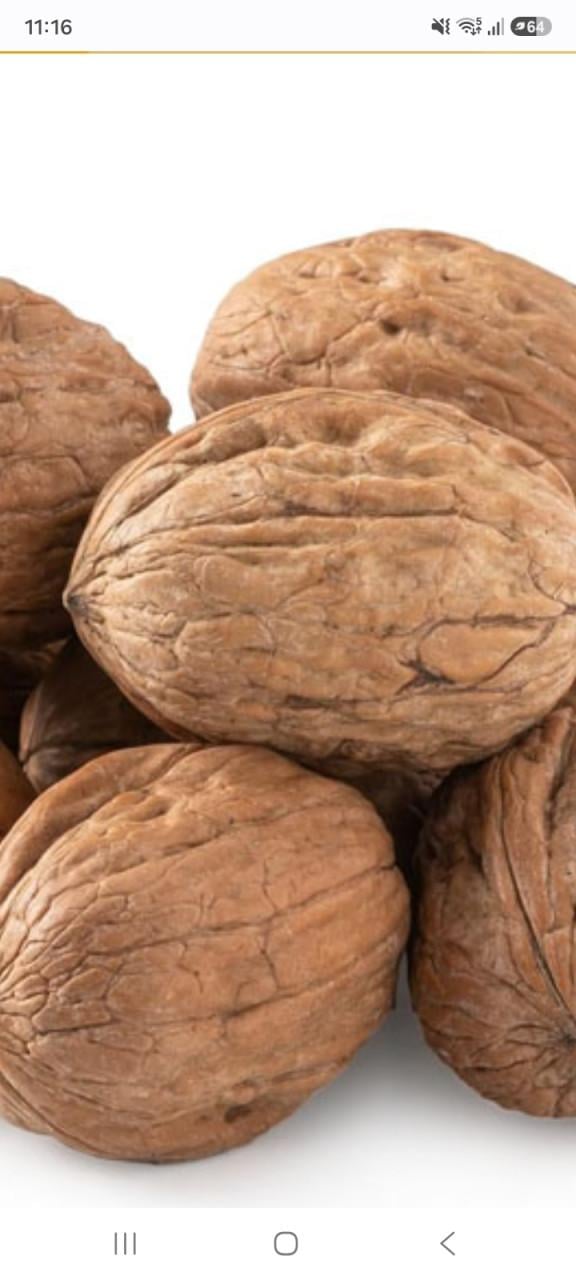 Verse Walnoten €5 per kilo
